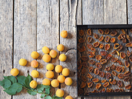 Procurement of dried apricots for future use.Dried apricots in a rack from the dryer with fresh...