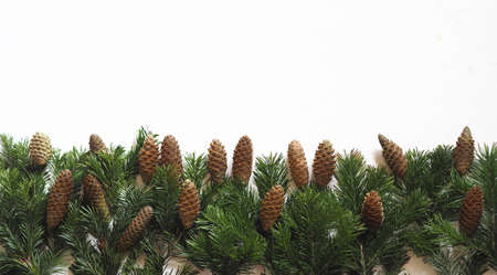 Christmas card. Spruce branches with natural spruce cones are laid out on a white background. Place for text.の写真素材