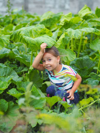 A little girl is hiding under a large leaf of a pumpkin. Communication between a child and nature and family.の写真素材