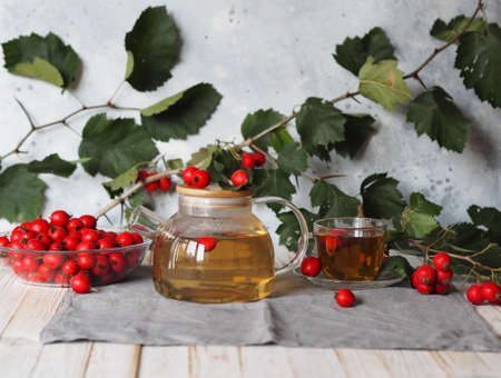 The hawthorn harvesting season for future use. Alternative medicine. Benefits of herbal tea with hawthorn. Cup on a white plate with berries.の写真素材