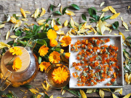 Medicinal autumn background. Herbal healthy marigold tea with a teapot, dried and fresh flowers on a wooden background with autumn leaves. View from above.の写真素材