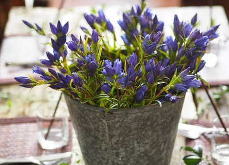 Country style. Floral background. Spring. Summer. Fall Greeting card with blue flowersの写真素材