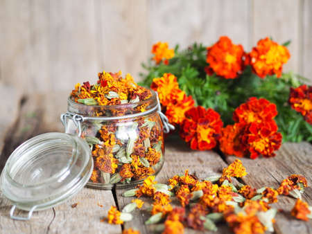 Useful properties of marigolds. Fresh bright flowers of marigolds with dried flowers in a jar on a wooden background.の写真素材