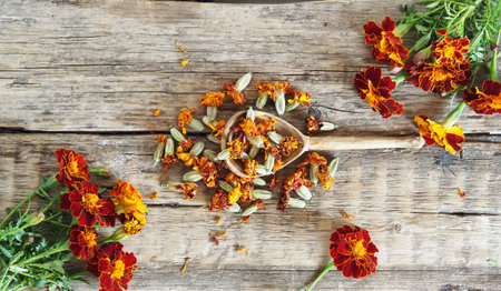 Herbal picking season.Dried medicinal red flowers of black-haired or golden Mary, Turkish carnation...