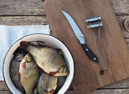 Fresh golden carp in a kitchen bowl ready to be scaled. Russian river fish on a wooden background.の写真素材