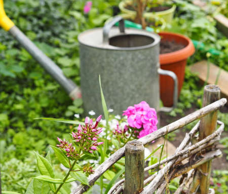 Summer natural background. Summer flowers in the garden on the background of watering cans.の写真素材