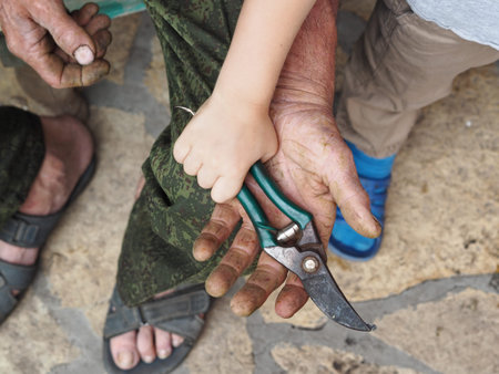 Communication and continuity of two generations. Grandfather and grandson. The hand of a child lies...
