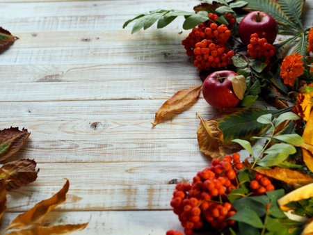 Autumn background with withered leaves and mountain ash on a wooden white natural table.の写真素材