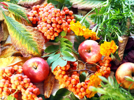 Autumn leaves, ripe red apples and rowan berries over wooden textured background. Autumn motives.の写真素材