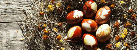 Painted Easter eggs in a nest of hay with dried marigold flowers on a wooden natural background.Easter background with place for text.の写真素材