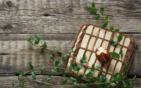 One Easter egg, dyed with onion peels, on a natural basket with plant sprigs.Easter background with place for text.の写真素材
