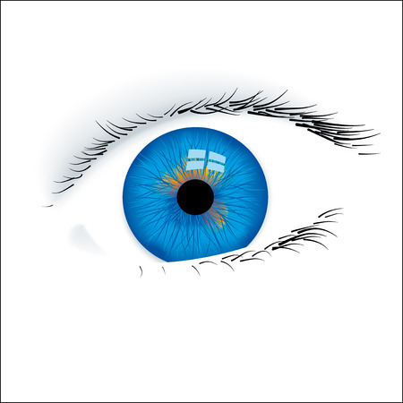 Closeup of an open blue eye isolated.のイラスト素材