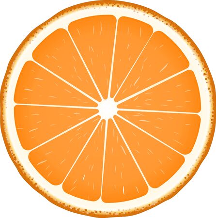 Orange fruit slice in realistic style. Isolated on white.のイラスト素材