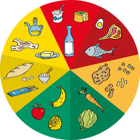 Food circle of dairy meals selected by group.のイラスト素材