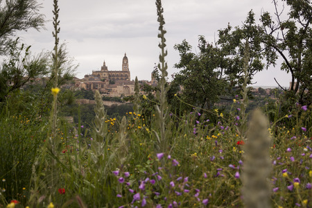 viewpoint of Segovia. Gothic cathedral, Romanesque churches, aqueduct. Segovia skyline in spring, gray sky. Spain. Europeの写真素材