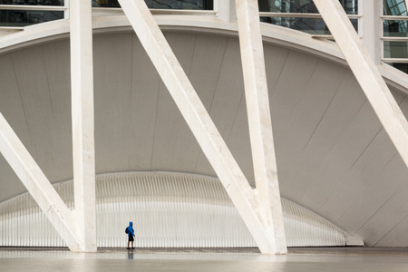 City of Arts and Sciences. Oceanographic, hemispheric, umbracle, palace of the arts, science museum, agora. Valencia. Spain, Europe.のeditorial素材