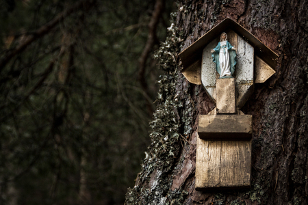 Virgin in nature. Enigmatic statue in pine. Spiritual photography, religious symbolの写真素材