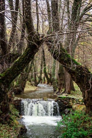 Autumn landscape of snow and forest in the Sierra del RincÃ³n. Sierra norte in the community of Madrid, Spain.の写真素材