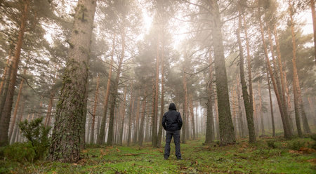 Lost man in the middle of the forest. Disoriented person in the fog. Panoramic photography of nature...