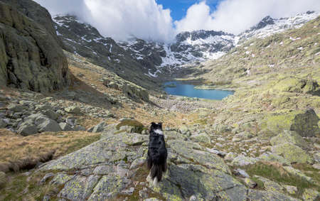 Panoramic photograph of the Gredos circus in the Laguna Grande, Castilla y LeÃ³n National Park, Spain. Mountains in springの写真素材