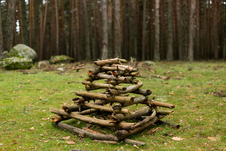 Make fire in a camp with wooden sticks in nature. light a fire