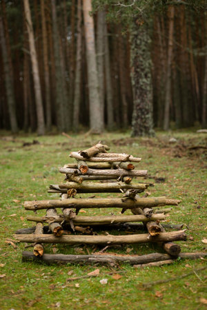 Make fire in a camp with wooden sticks in nature. light a fire