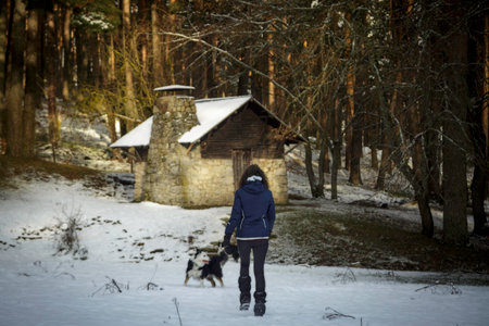 Woman walking alone towards a wooden cabin in the middle of a snowy forest. Refuge in the Sierra de Guadarrama National Park, El Espinar, Segovia, Madrid.の写真素材