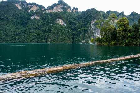 log on lake in natureの写真素材