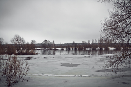 Cold winter day on the river bank. Forest on background.の写真素材
