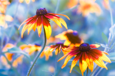 flowers in the gardenの写真素材