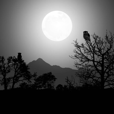 Halloween vector wallpaper with haunted house, grave, black cat and pumpkins silhouette isolated on dark night full moon background.のイラスト素材