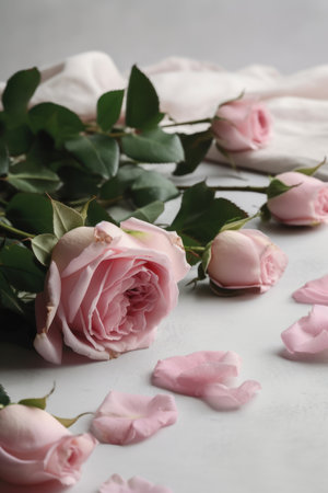 Beautiful pink roses on white table, closeup. Space for textの素材