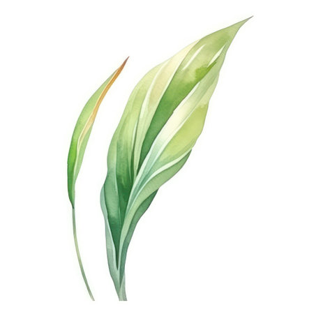 Watercolor green leaves isolated on white background. Hand drawn illustration.の素材