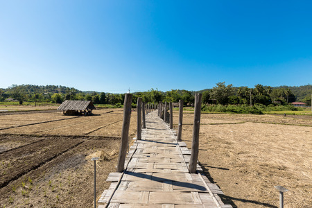 Bamboo bridge.の写真素材