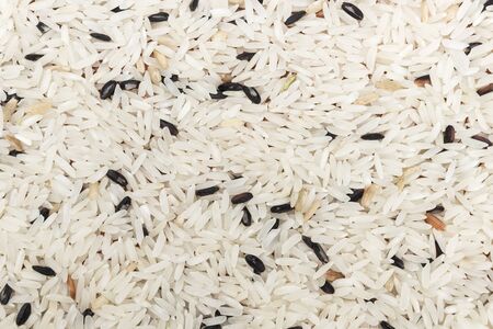 close up polished and Kum Doi Riceの写真素材