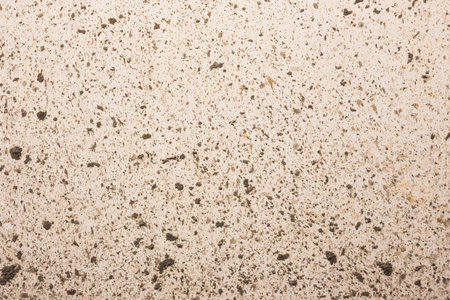 Vintage or grungy white background of natural cement or stone