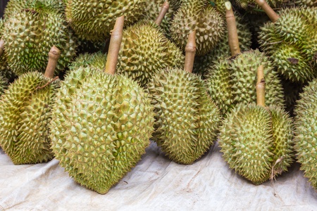 Durian, king of fruit, famous fruit in Thailandの写真素材