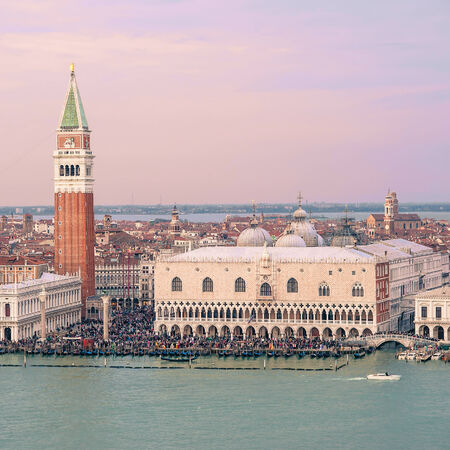 The Dogeの写真素材