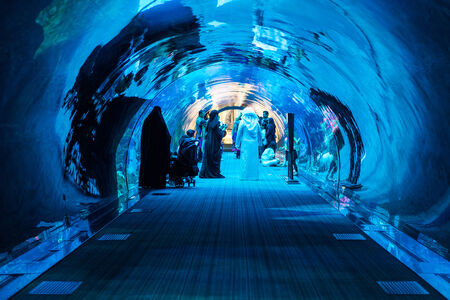 DUBAI, UAE - MARCH 28, 2014  People walking inside the Oceanarium tunnel iat Dubai Mall のeditorial素材