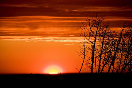 sundownの写真素材