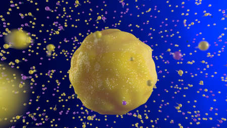 Representation of lipoprotein that covers cholesterol.の写真素材