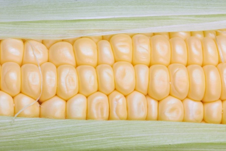 fresh corn vegetable with green leaves closeup の写真素材
