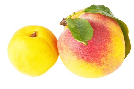 composition of ripe juicy peach, nectarine isolated on white background の写真素材