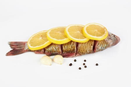 Raw fish with lemon on white backgroundの写真素材