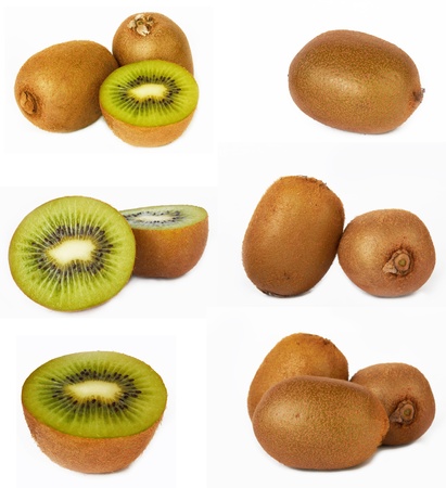 Kiwi set on a white backgroundの写真素材