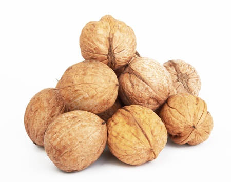 Brown walnuts on white background の写真素材