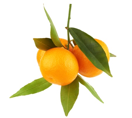 Ripe tangerines isolated on white background の写真素材