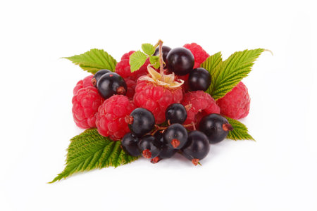 fresh raspberries and black currant on white 