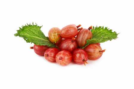 Red ripe gooseberries on a white background の写真素材