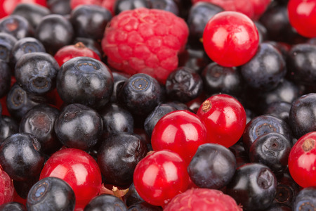 Mixed fresh berries can use as a backgroundの写真素材